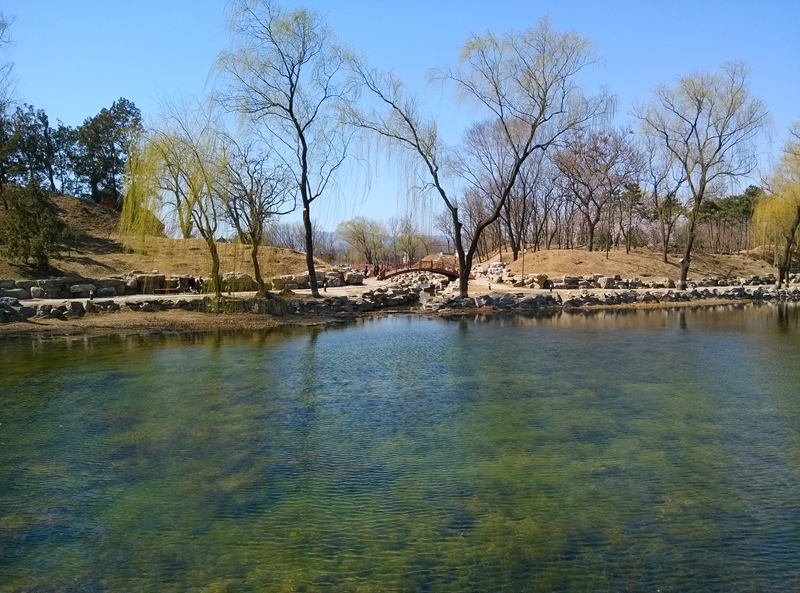 圓明園一景